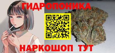 гашик Пенза