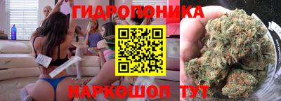 гашик Пенза